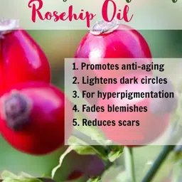 Park Daniel Set Of 2 100 % Pure & Natural Flaxseed Oil & Rosehip Oil- 100 ml Each image 3