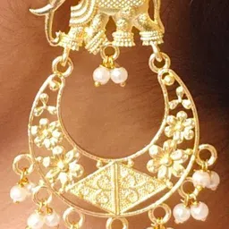 Hardin Style Animal Shaped Drop Earrings-picture-16