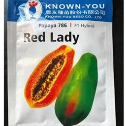 jbm Red Lady F1 Hybrid 786 Papaya Seeds( 90 Seeds ) Seed-picture-13