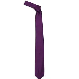 Arrow Men Broad Tie image 2