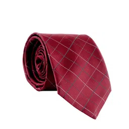 Cazzano Men Checked Broad Tie-image-19