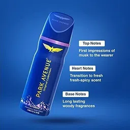 park avenue Deo Strom Body Spay 150ML Each (Pack of 4) Deodorant Spray Deodorant Spray - For Men image 3