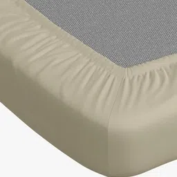 home expressions Cream-Coloured 500 TC Cotton Single Bedsheet Set -1.3716m X 2.2352m image 2