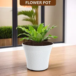 Kuber Industries White 4 Pieces Textured Planters image 5