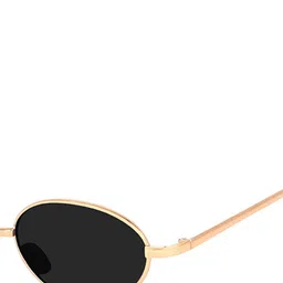 Eyedens Unisex Full Rim UV Protected Aviator Sunglasses image 4