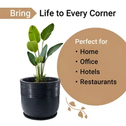 RUBOXA 2-Pcs Black & Brown Textured UV-ProtectedPlanters image 3