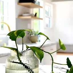 LHC Transparent 4 Inch No Flower Included Home Decor Centerpiece Vase image 5