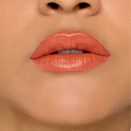 Promore Cosmetics Non-Transfer & Waterproof Liquid Lipstick - 6ml-Duchess 504 image 4