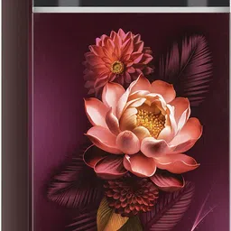 lg 272 L Frost Free Double Door 2 Star Convertible Refrigerator image 2