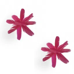 divaura Set OF 2 Natural Dyed Craft Project Shuttle Feathers Making for Decorations-picture-47