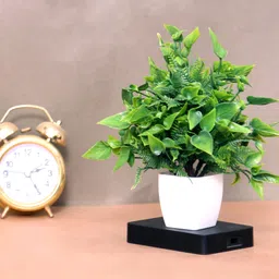 anuash Set of 4 Flower And Plant For Home Office Décor Also Plant Suitable For Table Green Wild Flower Artificial Flower with Pot image 4