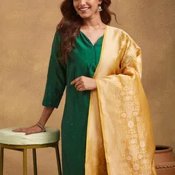 Fabindia Ethnic Motifs Woven Design Cotton Silk Dupatta With Zari image 5