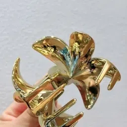 Radhya Accessories Women Set of 2 Claw Clip image 2