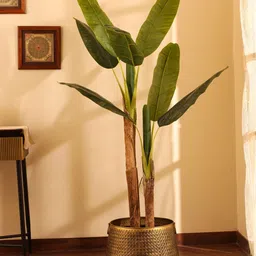 Elemntl Green Core-picture-21