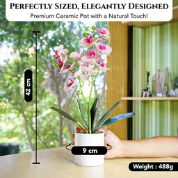 Ekhasa Pink & Green Orchid Artificial Flower With Cement Vase Pot image 2