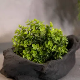 Greyt Grey Concrete Planter Stone Shaped image 1