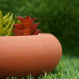 Terracotta Ellipse Desk Pot By Gold Dust image 3