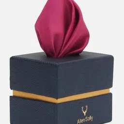 Allen Solly Men Pocket Square-image-61