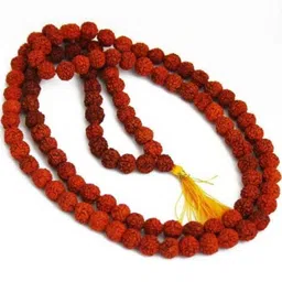 Divine souvenirs Brown Alloy Necklace-picture-25