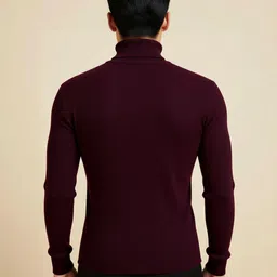 fashlook Men High Neck Sweatshirt image 2