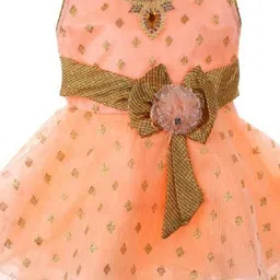 Samjho Fashion Orange Georgette Fit & Flare Dress-image-84