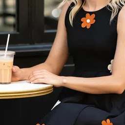 CORSICA Applique Fit & Flare Midi Dress image 2