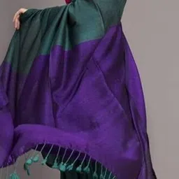 Saree star Colourblocked Taant Sarees image 2