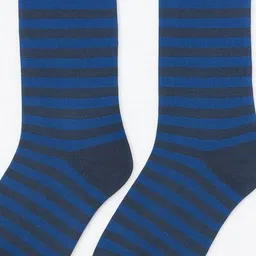 ZEVORA Men Striped Calf-Length Socks image 2