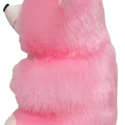 saro Soft Plush Teddy Bear 24 cm “For Someone Special” Gift Toy - 24 cm image 4