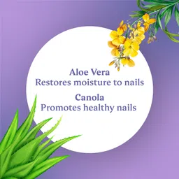 dazller Nail Polish Remover Wipes - Pack of 3 image 4