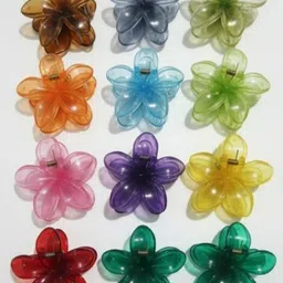 Caprese Women Set of 2 Claw Clip-picture-42