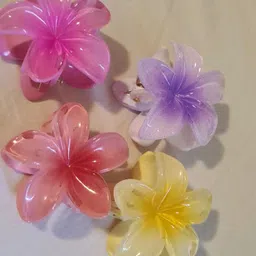 Elecsera Durable Elegant Set of 4 Claw Clips-picture-37