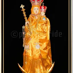 peacockride Our Lady of Velankanni I Velankanni Matha I Jesus Christ I Wall Poster A4 Fine Art Print-picture-26