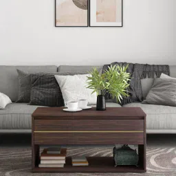 a globia creations Cade Coffee Table In Choco Walnut Color-picture-40