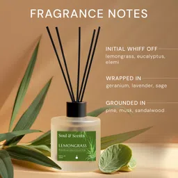 soul & scents Lemongrass Diffuser Set image 3