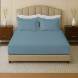 MAYFAIR HOMES LONDON Blue 144 TC King Bedsheet with 2 Pillow Covers-image-23