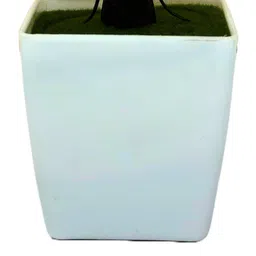 Dekorly Multi Plastic Artificial Flowers & Plants With Pot image 5