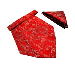 voici Paisley Design Cravats & Pocket Square Combo-picture-40