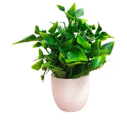 Dekorly Unisex Artificial Flowers & Plants With Pot image 5