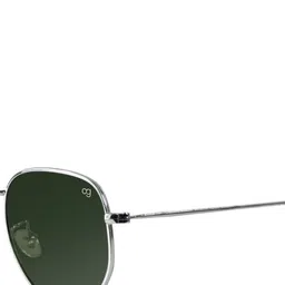 Woggles Unisex Green Lens & Silver-Toned Other Sunglasses with image 2