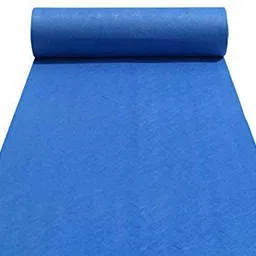 Blue Nylon Carpet-image-34