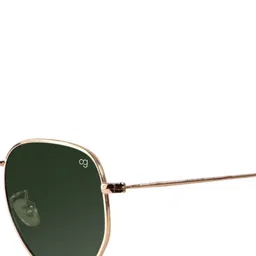 Woggles Unisex Green Lens & Gold-Toned Other Sunglasses with image 4