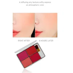 Elecsera Blusher Palette- 10 g- Shade- 09 image 2