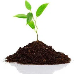 53 badshah Vermicompost mix soil Potting Mixture, Soil, Manure image 1
