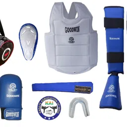 goodwin KARATE KIT LARGE Mouth Guard-picture-28
