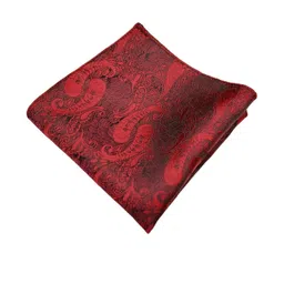 voici Paisley Design Cravats & Pocket Square Combo image 5