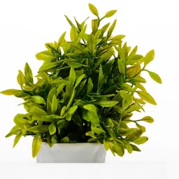 Dekorly Green Plastic Fern Artificial Plants With Pot image 4