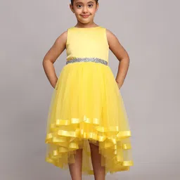 Toy Balloon kids Girls Applique Net Fit & Flare Dress-picture-37
