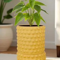 LASAKI Yellow Textured Ceramic Durable Planter With Plate-picture-15