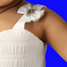 Satjal Fab A-Line Dress image 2